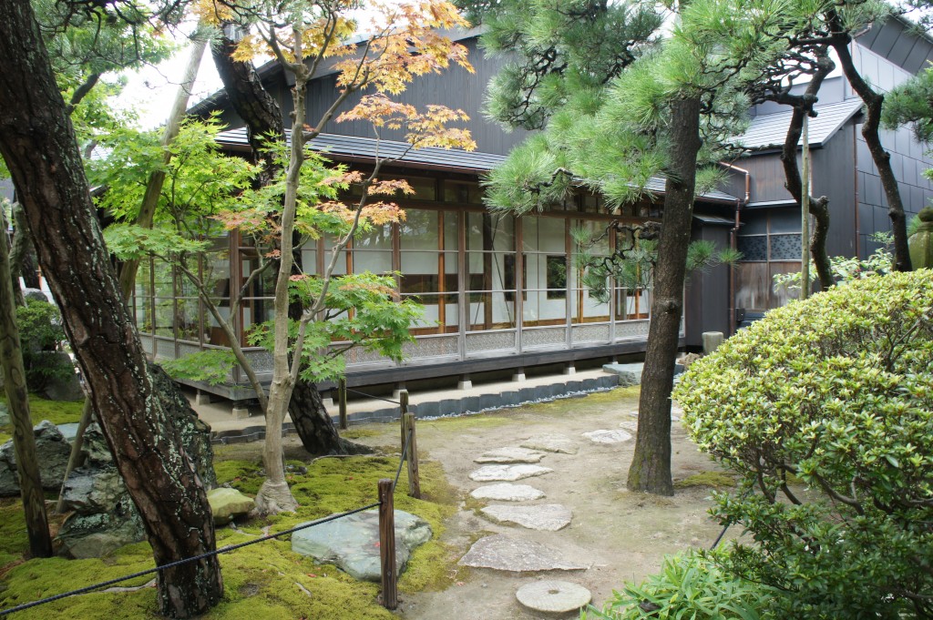 SONY DSC